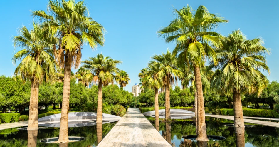 Top 5 Free Things to Do in Kuwait City